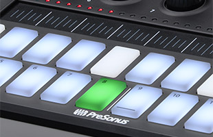 detail image of PreSonus Atom SQ top panel showing lit/staggered keyboard step pads