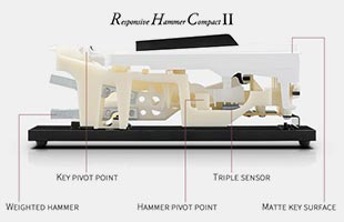 side cutaway diagram with callouts showing parts of Kawai Responsive Hammer Compact II piano key mechanism