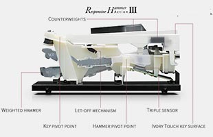 side cutaway diagram with callouts showing parts of Kawai Responsive Hammer III piano key mechanism