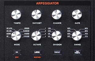 detail top view of ASM Hydrasynth Desktop/Rack showing arpeggiator control section