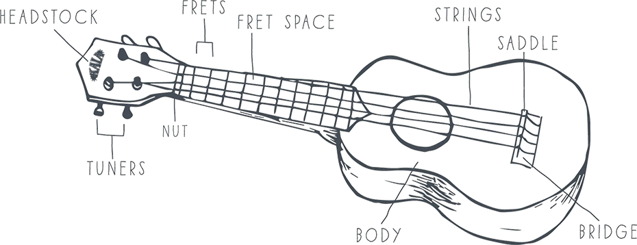 illustration with labeled callouts showing parts of a ukulele