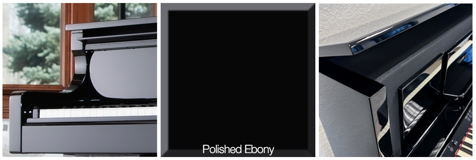 Polished Ebony