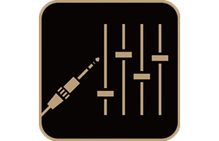 icon illustration representing line outputs on Yamaha THR30IIA Wireless